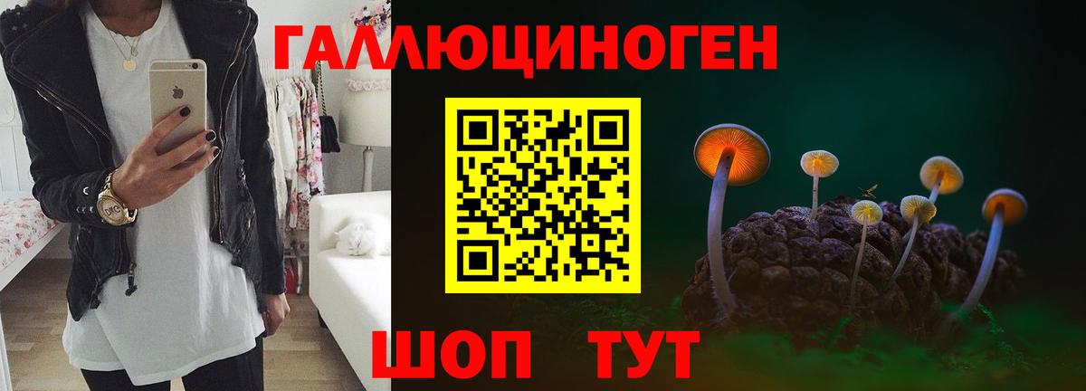 Псилоцибиновые грибы Psilocybe  Галлюциногенные грибы мухоморы  Вход с VPN  Стрежевой 